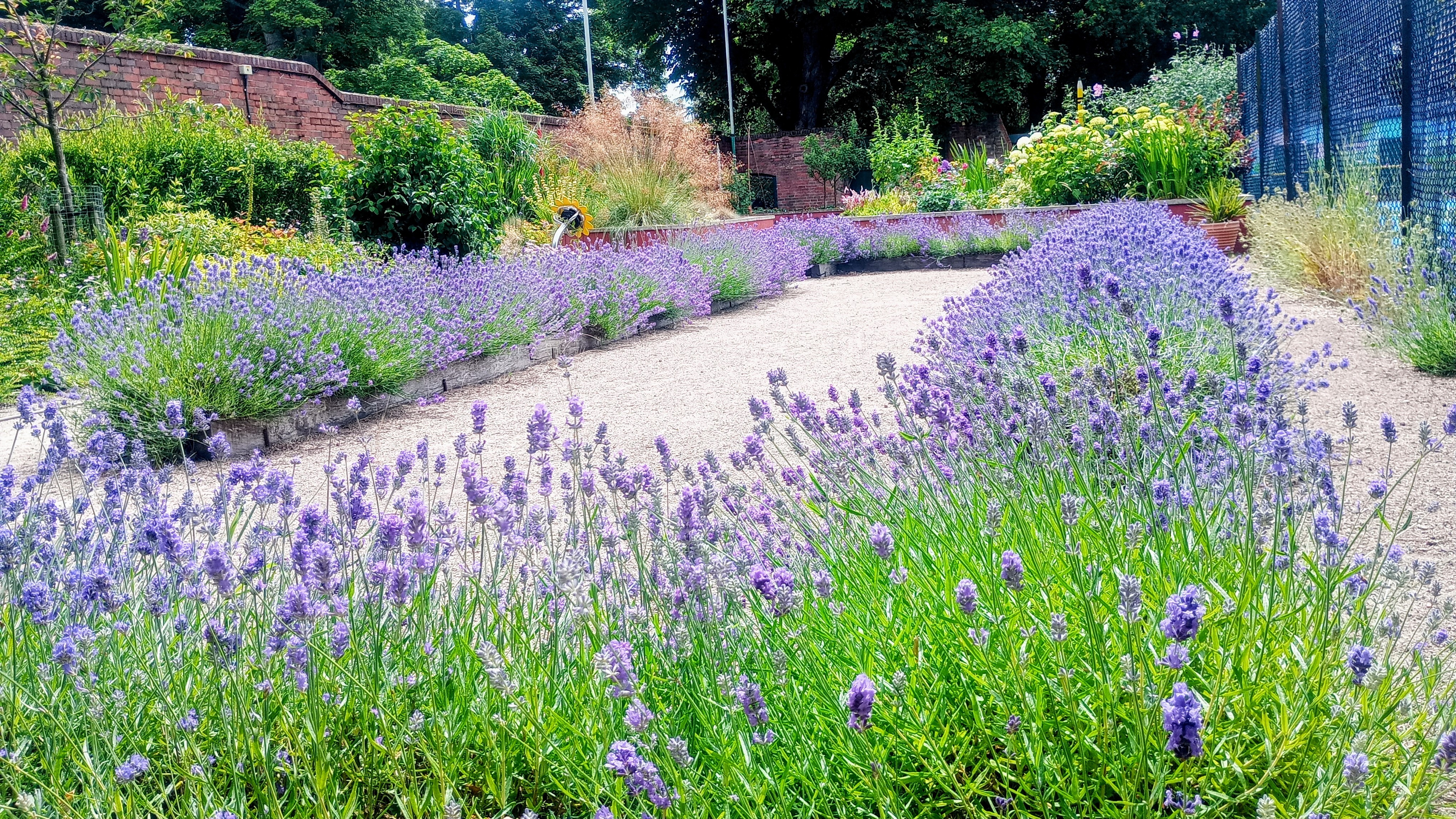 Friends of Wollescote Park (FOWP)